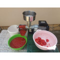 TRE SPADE SpremiTo Elektrische Tomatenpresse INOX